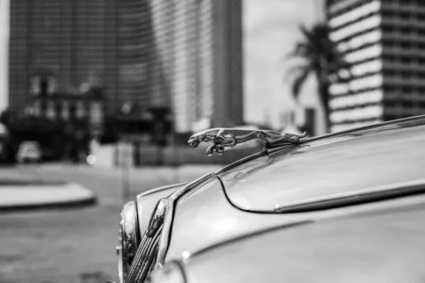 Casino Prize Land Bingo Android/iOS App